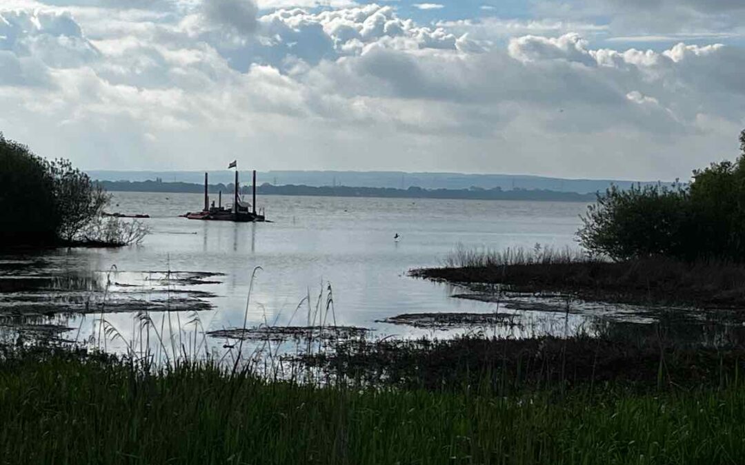 Liebesgeschichte am Dümmer See