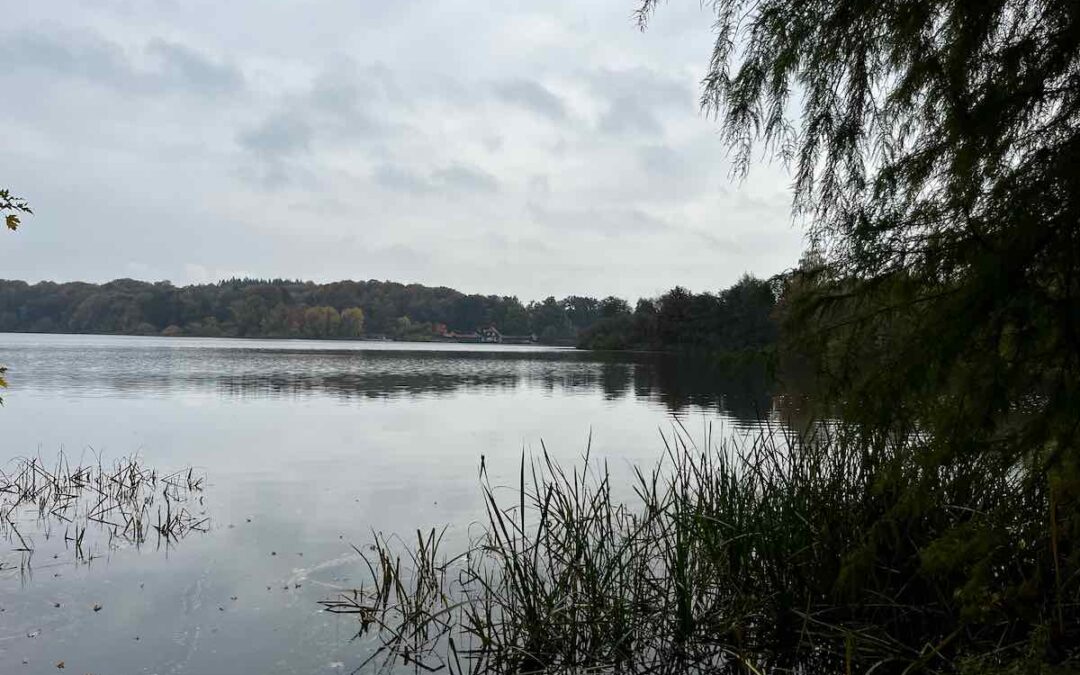 Eutin zwischen Meer und Wald