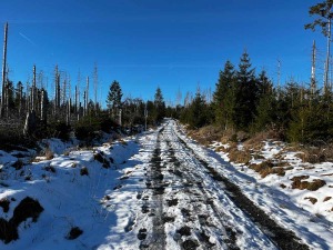 #Bike, #Fahrradtour, #lovingtailwind, #MTB, #Outdoor, #Harz, #Berge, #Tagestour, #Wurmberg