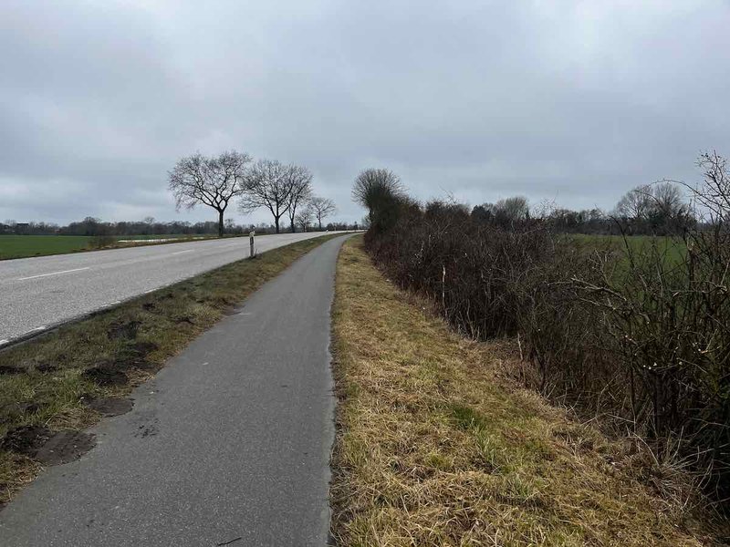 2025.03.01_Brasilien und Kalifornien – 1 von 19 #lovingtailwind, #Outdoor, #Tagestour, #Abenteuer, #Ausflug, #Natur, #Bike,#Gravel, #Fahrradtour, #Meer, #Ostsee, #Strand, #Kalifornien, #Brasilien, #Laboe