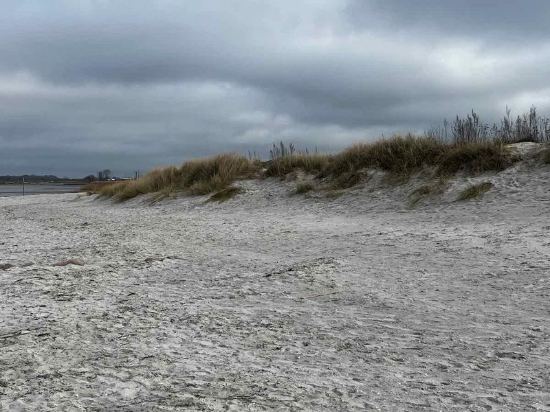 2025.03.01_Brasilien und Kalifornien – 11 von 19 #lovingtailwind, #Outdoor, #Tagestour, #Abenteuer, #Ausflug, #Natur, #Bike,#Gravel, #Fahrradtour, #Meer, #Ostsee, #Strand, #Kalifornien, #Brasilien, #Laboe