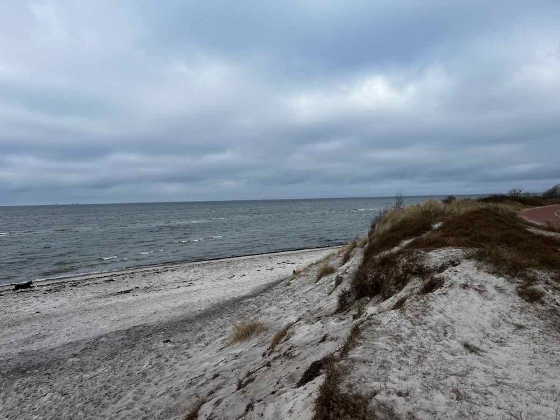 2025.03.01_Brasilien und Kalifornien – 14 von 19 #lovingtailwind, #Outdoor, #Tagestour, #Abenteuer, #Ausflug, #Natur, #Bike,#Gravel, #Fahrradtour, #Meer, #Ostsee, #Strand, #Kalifornien, #Brasilien, #Laboe