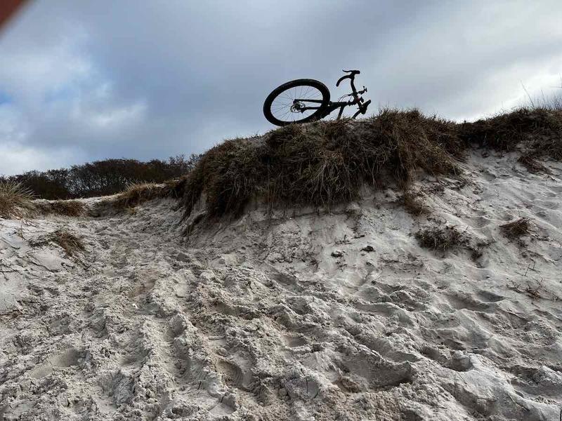 2025.03.01_Brasilien und Kalifornien – 15 von 19 #lovingtailwind, #Outdoor, #Tagestour, #Abenteuer, #Ausflug, #Natur, #Bike,#Gravel, #Fahrradtour, #Meer, #Ostsee, #Strand, #Kalifornien, #Brasilien, #Laboe