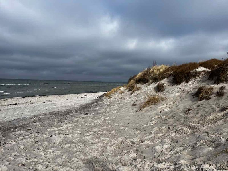 2025.03.01_Brasilien und Kalifornien – 17 von 19 #lovingtailwind, #Outdoor, #Tagestour, #Abenteuer, #Ausflug, #Natur, #Bike,#Gravel, #Fahrradtour, #Meer, #Ostsee, #Strand, #Kalifornien, #Brasilien, #Laboe