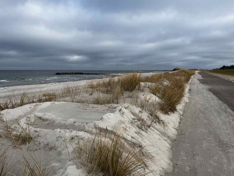 2025.03.01_Brasilien und Kalifornien – 19 von 19 #lovingtailwind, #Outdoor, #Tagestour, #Abenteuer, #Ausflug, #Natur, #Bike,#Gravel, #Fahrradtour, #Meer, #Ostsee, #Strand, #Kalifornien, #Brasilien, #Laboe