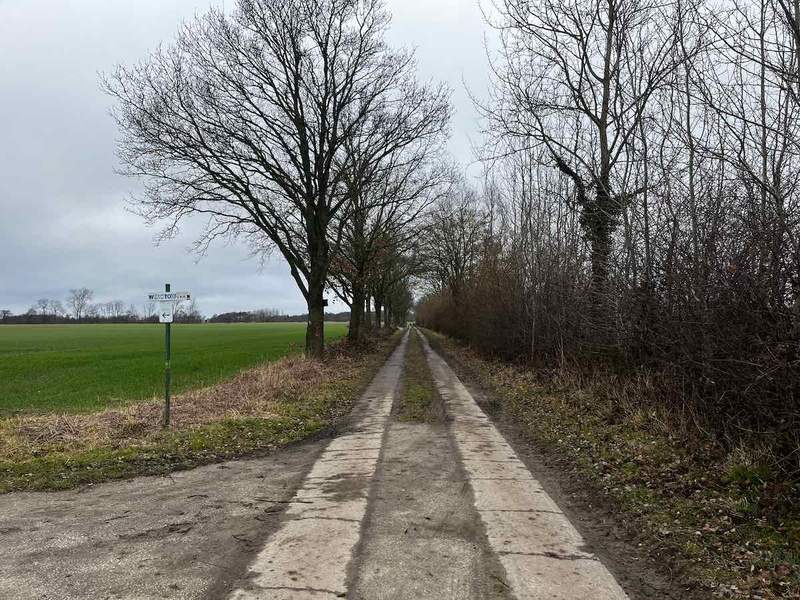 2025.03.01_Brasilien und Kalifornien – 2 von 19 #lovingtailwind, #Outdoor, #Tagestour, #Abenteuer, #Ausflug, #Natur, #Bike,#Gravel, #Fahrradtour, #Meer, #Ostsee, #Strand, #Kalifornien, #Brasilien, #Laboe