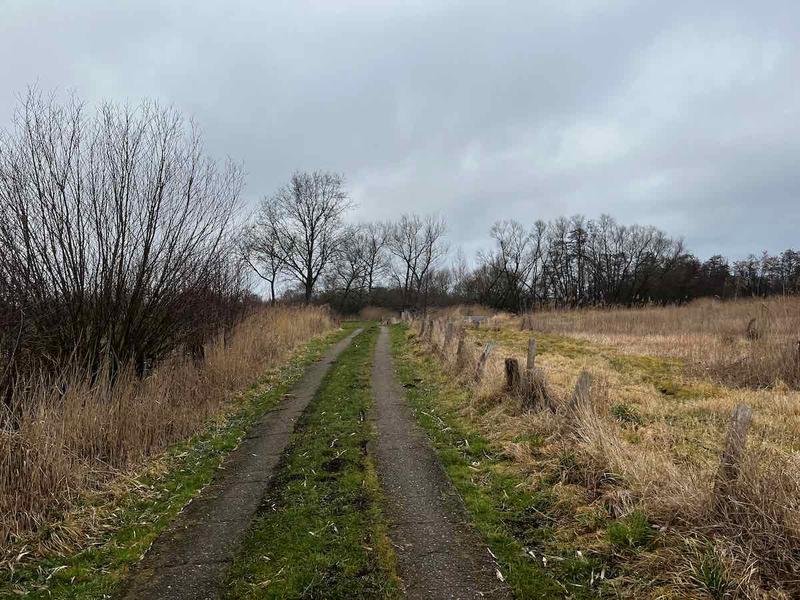 2025.03.01_Brasilien und Kalifornien – 3 von 19 #lovingtailwind, #Outdoor, #Tagestour, #Abenteuer, #Ausflug, #Natur, #Bike,#Gravel, #Fahrradtour, #Meer, #Ostsee, #Strand, #Kalifornien, #Brasilien, #Laboe