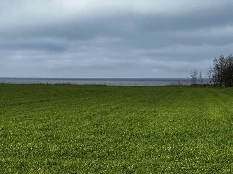 2025.03.01_Brasilien und Kalifornien – 4 von 19 #lovingtailwind, #Outdoor, #Tagestour, #Abenteuer, #Ausflug, #Natur, #Bike,#Gravel, #Fahrradtour, #Meer, #Ostsee, #Strand, #Kalifornien, #Brasilien, #Laboe