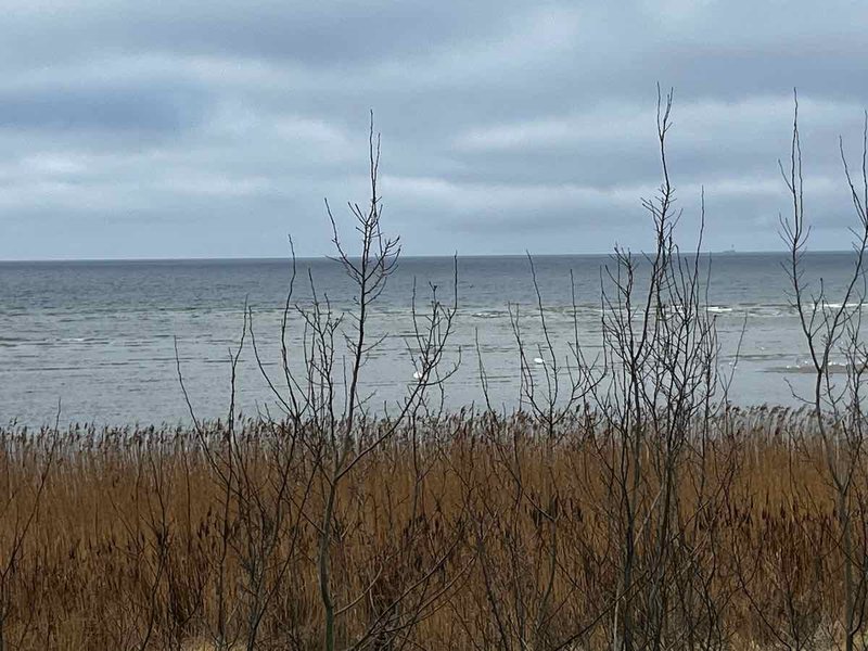 2025.03.01_Brasilien und Kalifornien – 5 von 19 #lovingtailwind, #Outdoor, #Tagestour, #Abenteuer, #Ausflug, #Natur, #Bike,#Gravel, #Fahrradtour, #Meer, #Ostsee, #Strand, #Kalifornien, #Brasilien, #Laboe
