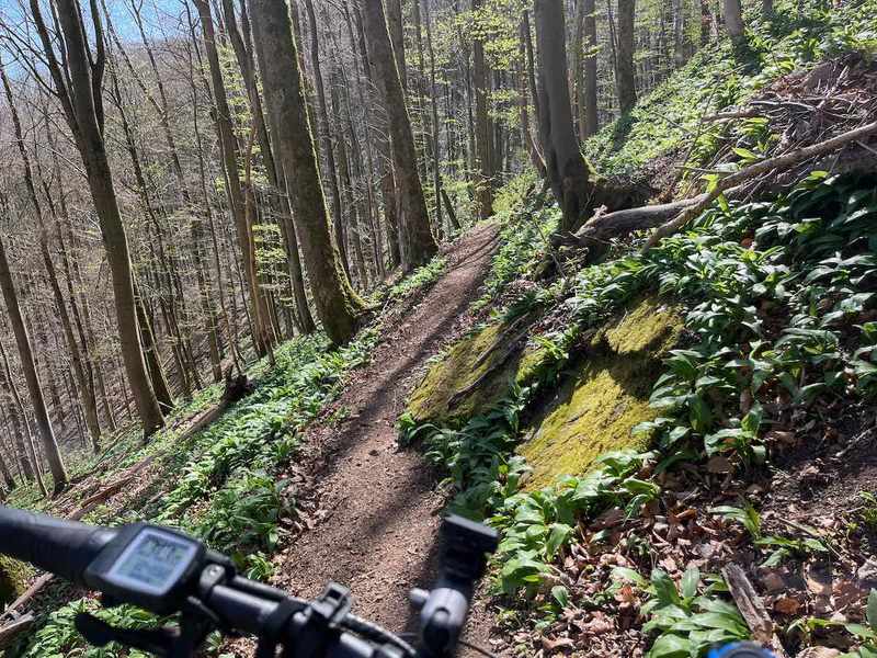 #lovingtailwind, #Outdoor, #Tagestour, #Abenteuer, #Ausflug, #Natur, #Bike,#MTB, #Fahrradtour, #Harz, #Berge, #Poppenberg