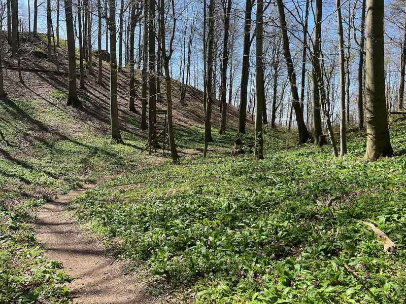 #lovingtailwind, #Outdoor, #Tagestour, #Abenteuer, #Ausflug, #Natur, #Bike,#MTB, #Fahrradtour, #Harz, #Berge, #Poppenberg