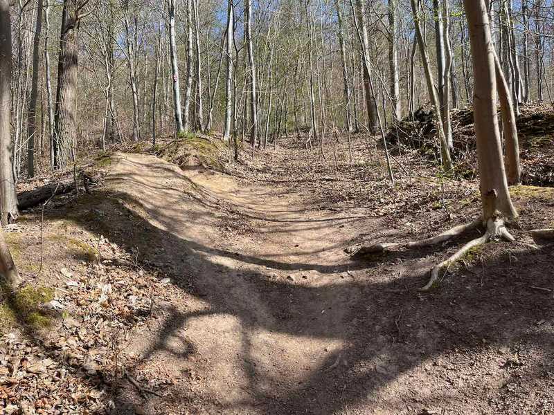 #lovingtailwind, #Outdoor, #Tagestour, #Abenteuer, #Ausflug, #Natur, #Bike,#MTB, #Fahrradtour, #Harz, #Berge, #Poppenberg