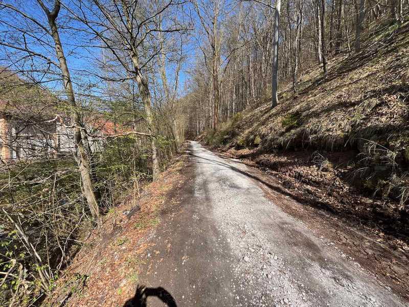 #lovingtailwind, #Outdoor, #Tagestour, #Abenteuer, #Ausflug, #Natur, #Bike,#MTB, #Fahrradtour, #Harz, #Berge, #Poppenberg