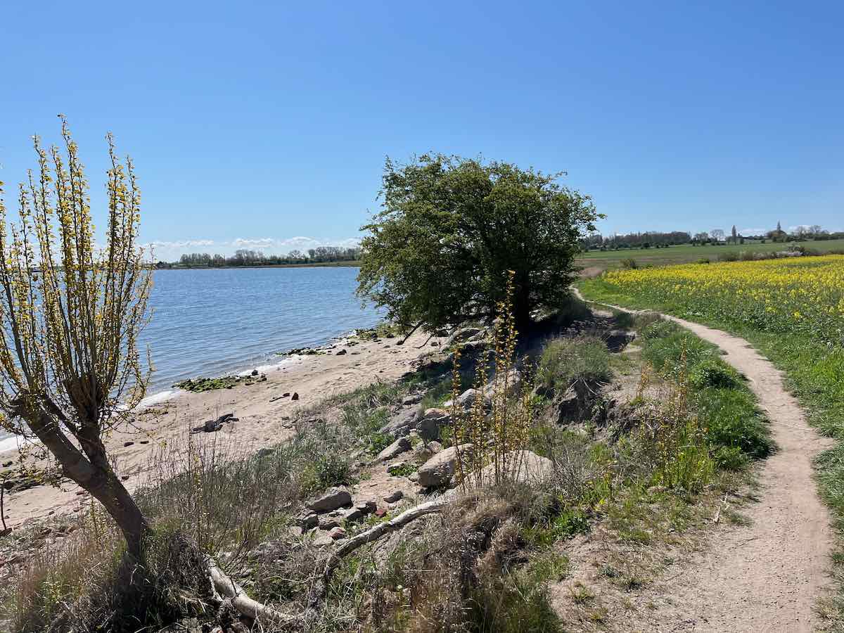2025.04.26_Lieblingsort-Heiligenhafen-10-von-20.jpeg #lovingtailwind, #Outdoor, #Tagestour, #Abenteuer, #Ausflug, #Natur, #Bike,#Gravel, #Fahrradtour, #Meer, #Ostsee, #Strand, #Heiligenhafen