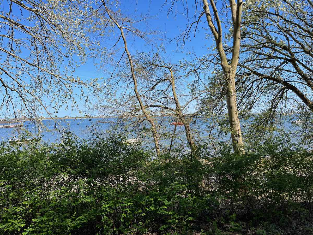2025.04.26_Lieblingsort-Heiligenhafen-4-von-20.jpeg #lovingtailwind, #Outdoor, #Tagestour, #Abenteuer, #Ausflug, #Natur, #Bike,#Gravel, #Fahrradtour, #Meer, #Ostsee, #Strand, #Heiligenhafen