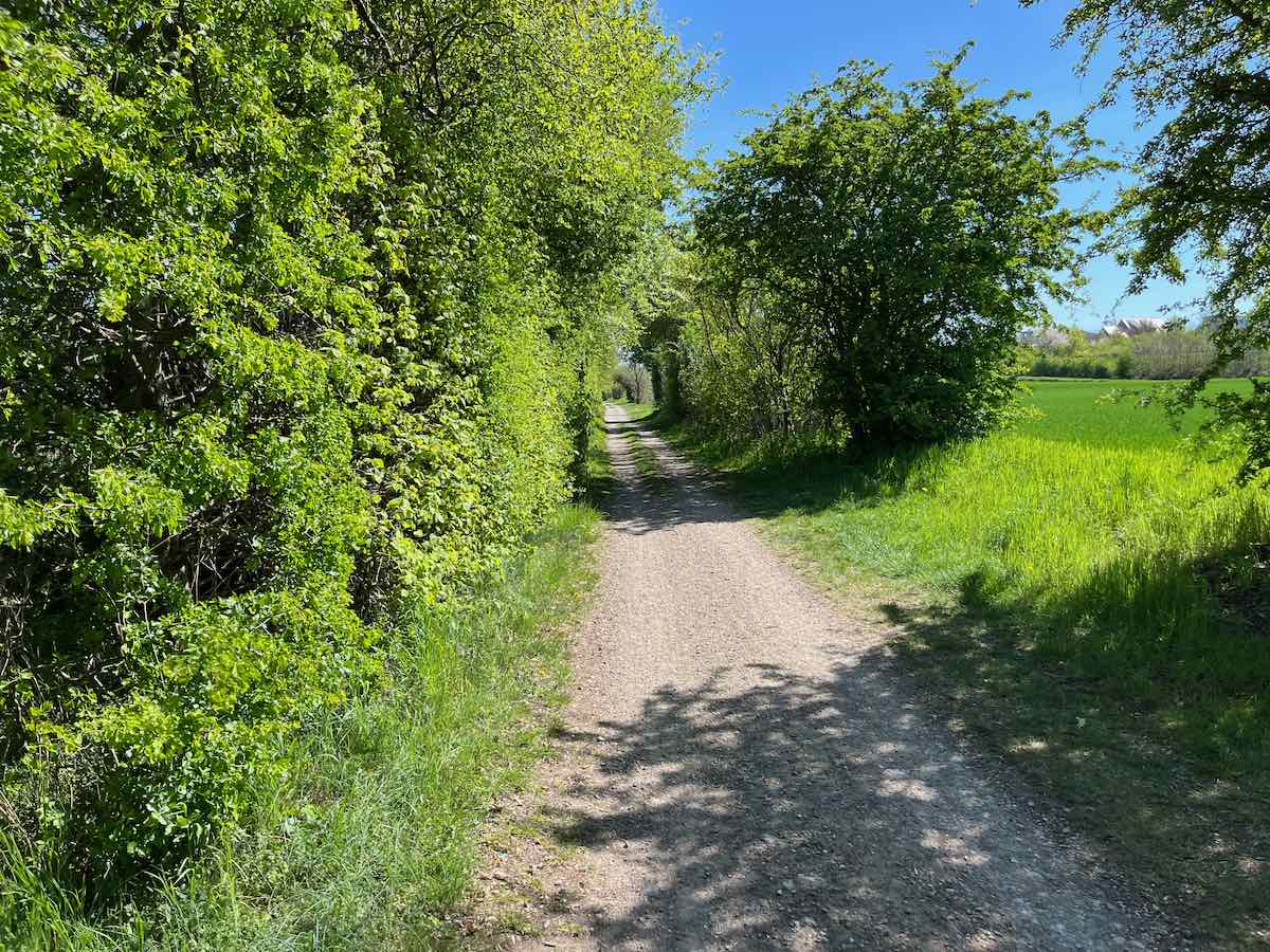 2025.04.26_Lieblingsort-Heiligenhafen-8-von-20.jpeg #lovingtailwind, #Outdoor, #Tagestour, #Abenteuer, #Ausflug, #Natur, #Bike,#Gravel, #Fahrradtour, #Meer, #Ostsee, #Strand, #Heiligenhafen